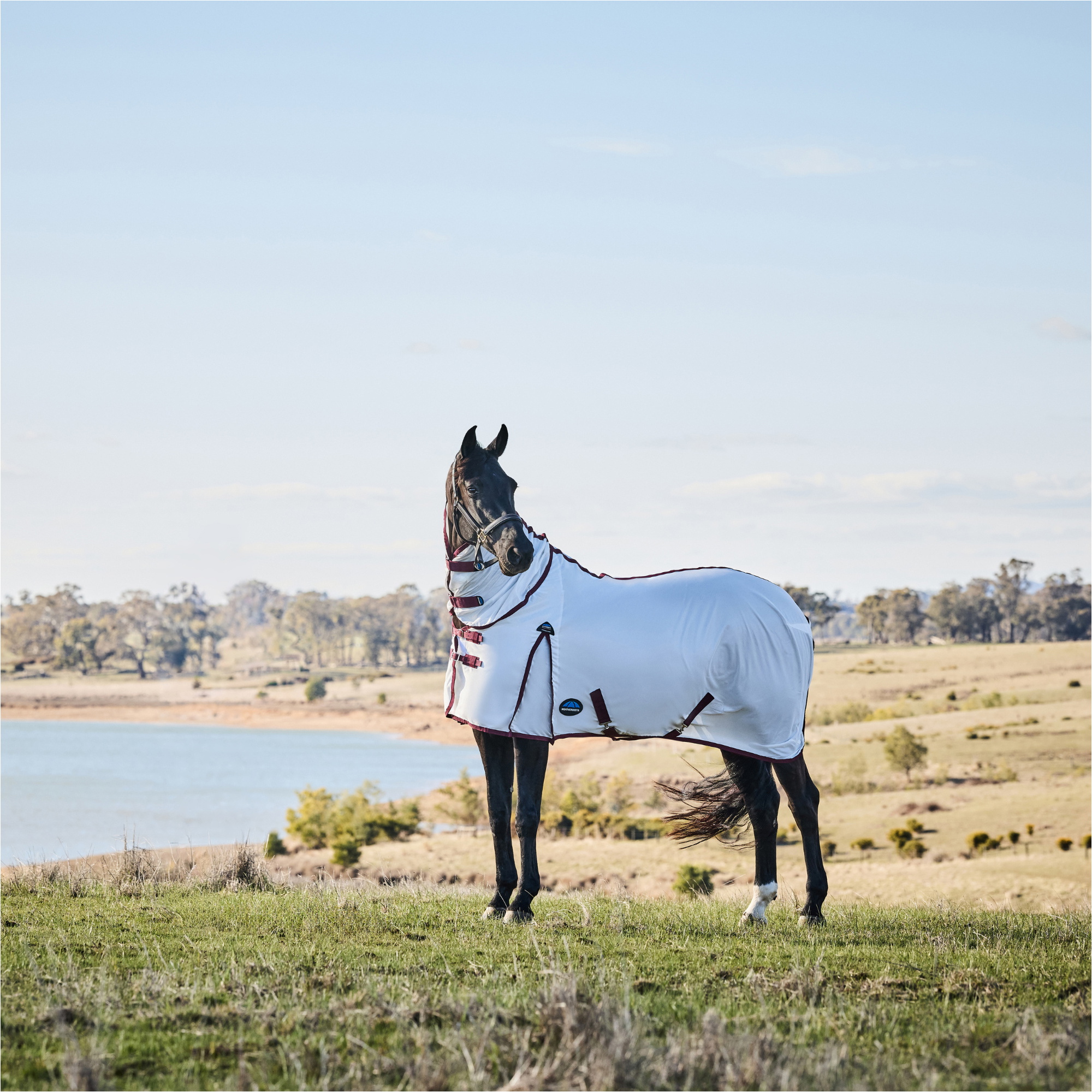 2026 WeatherBeeta Comfitec Essential Combo Fly Sheet 1029542001 - White / Burgunderrot